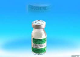 CIDOCETINE SUCCINATE 1GM VIAL