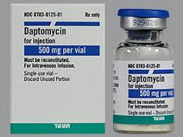 DAPTOMYCIN 500 MG PWD. FOR I.V. INJ./INF. VIAL