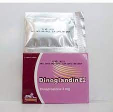 DINOGLANDIN E2 3 MG 2 VAG.TABS