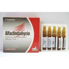 ALFACLINDAMYCIN 300 MG 10 CAPS