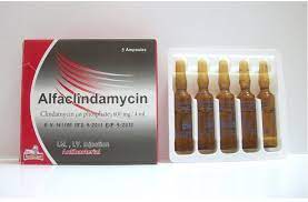 ALFACLINDAMYCIN 600MG/4ML 5 AMP. I.V./I.M. INJ