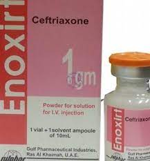 ENOXIRT 1 GM I.V. VIAL