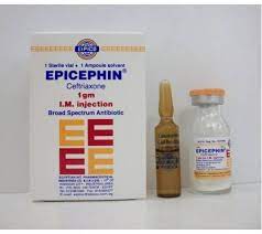 EPICEPHIN 1 GM I.M.VIAL