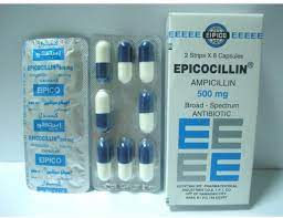 EPICOCILLIN 500MG 16 CAPS