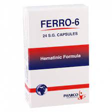 FERRO-6 24 SOFT GELATIN CAPS