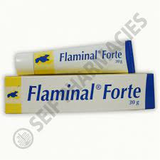 FLAMINAL FORTE ENZYME ALGINOGEL GEL 30 GM