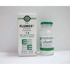 FLUMOCIN 1GM VIAL