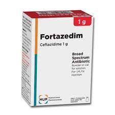 FORTAZEDIM 1 GM VIAL