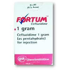 FORTUM 1 GM VIAL