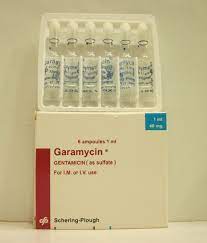 GARAMYCIN 40MG/ML 6 AMPS