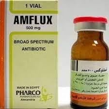 AMFLUX 1 G VIAL