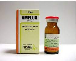 AMFLUX 500MG VIAL