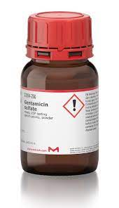 GENTAMICIN-SIGMA 0.1% TOPICAL OINT. 15 GM