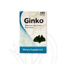 GINKO 40MG/ML ORAL DROPS 30 ML