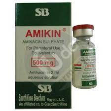 AMIKIN 500MG/2ML VIAL (N/A)