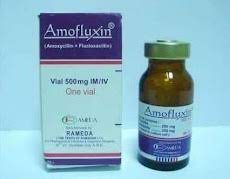 AMOFLUXIN 500MG VIAL