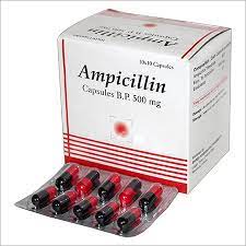 AMPICILLIN FORTE 500MG 12 CAPS