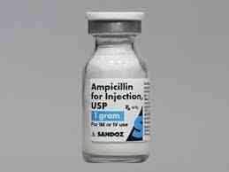 AMPICILLIN SODIUM 1 GM VIAL