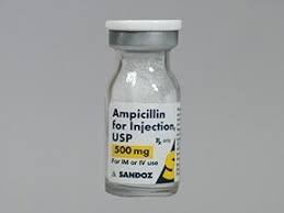 AMPICILLIN SODIUM 500MG I.M/I.V VIAL