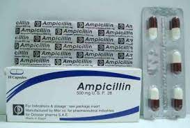 AMPICILLIN-CID 250MG 12 CAPS