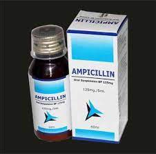 AMPICILLIN-EL NASR 250MG/5ML SUSP. 60ML