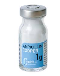 AMPICILLIN-MISR 1 GM VIAL