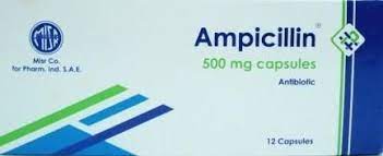 AMPICILLIN-MISR 500MG 12 CAPS