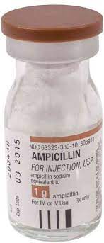 AMPICILLIN-NILE 1 G VIAL