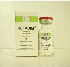 KEFADIM 1 GM VIAL