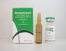 KEMPOVANCOM 500 MG VIAL